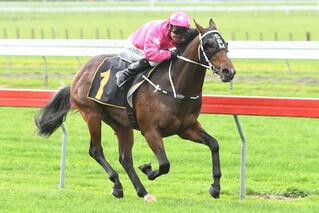 $6,000 purchase Sai Fah (NZ) takes out the Listed Ryder Stakes (1200m) at Otaki.